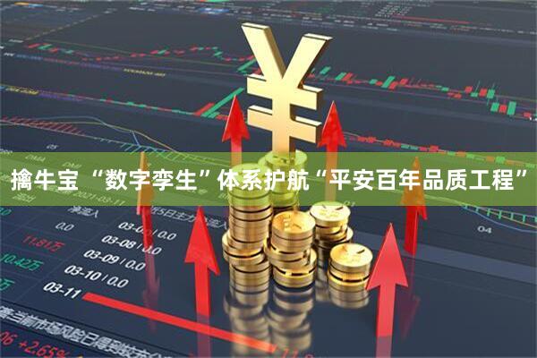 擒牛宝 “数字孪生”体系护航“平安百年品质工程”