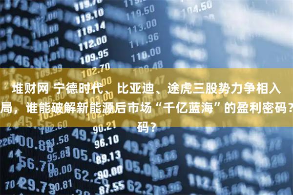 堆财网 宁德时代、比亚迪、途虎三股势力争相入局，谁能破解新能源后市场“千亿蓝海”的盈利密码？