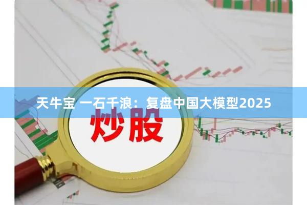 天牛宝 一石千浪：复盘中国大模型2025